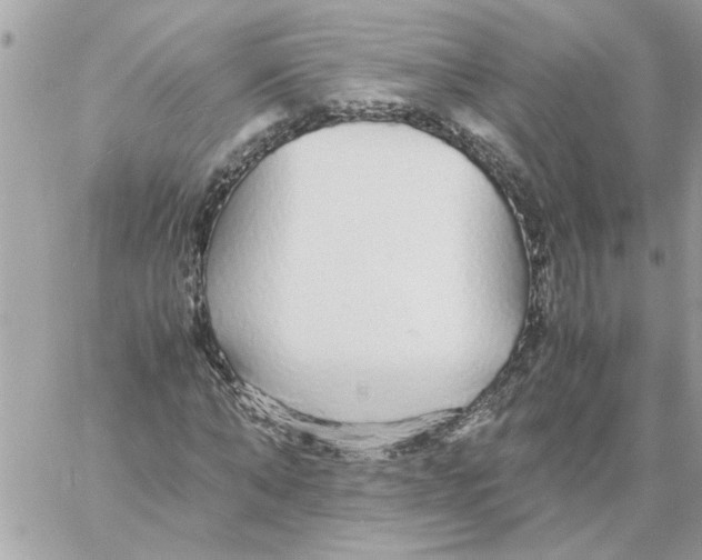 X0000058130870200510212043