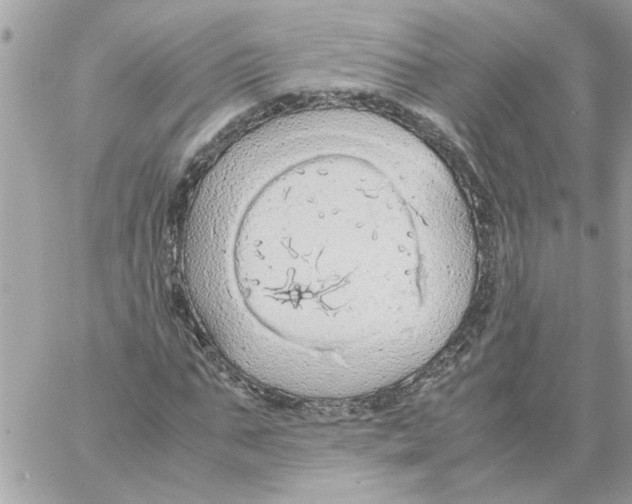 X0000058130871200510212043