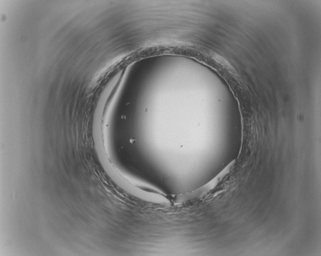 X0000058130872200510212043