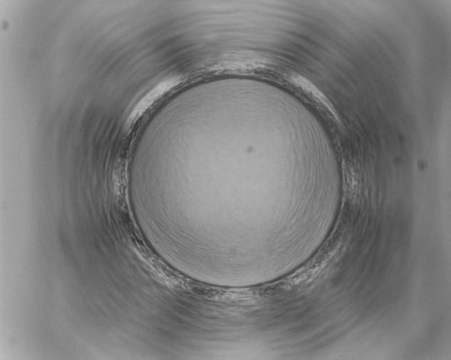 X0000058130874200510212043