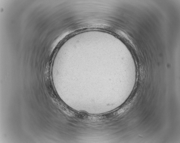 X0000058130875200510212043