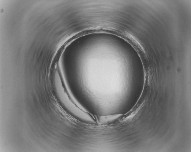 X0000058130876200510212043