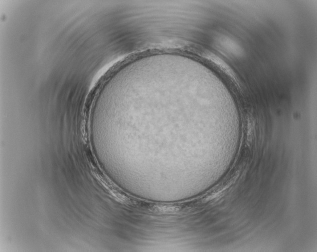 X0000058130878200510212043