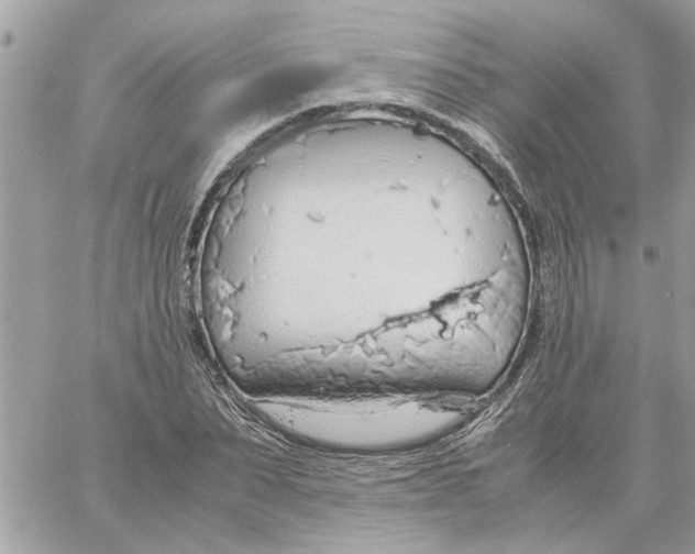 X0000058130879200510212043