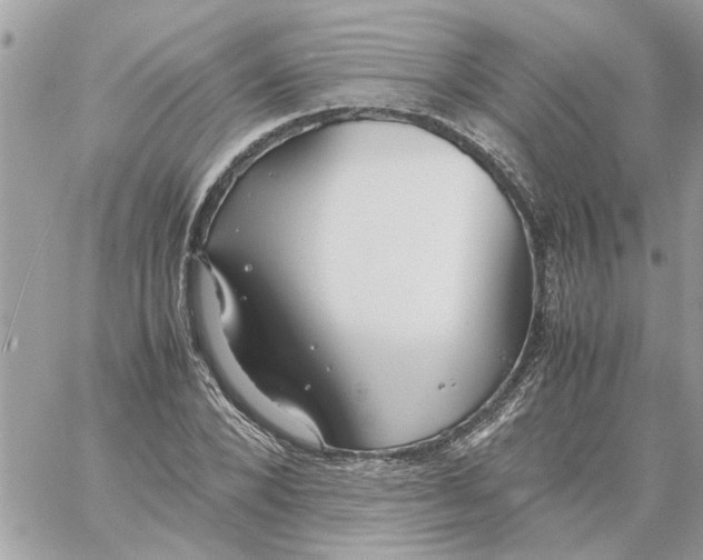 X0000058130880200510212043