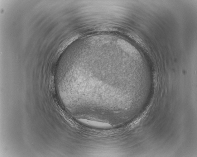 X0000058130881200510212043