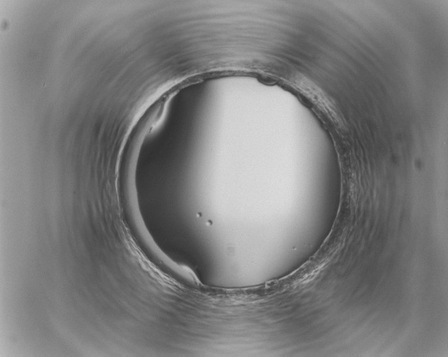 X0000058130884200510212043