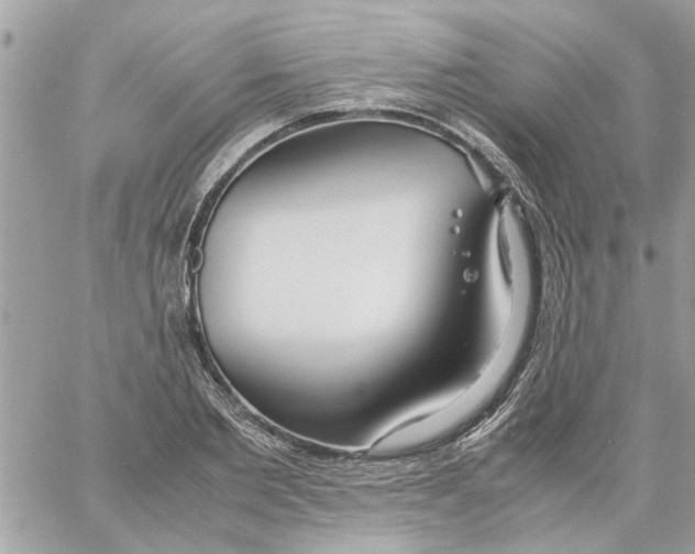 X0000058130885200510212043