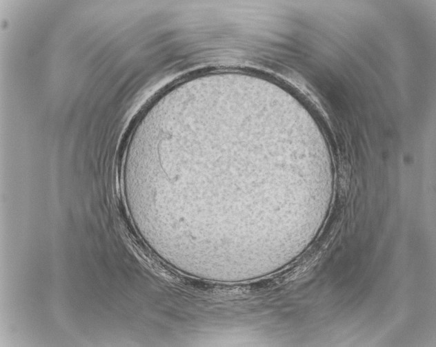 X0000058130887200510212043