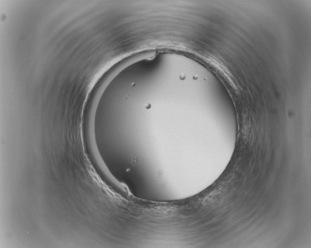 X0000058130888200510212043