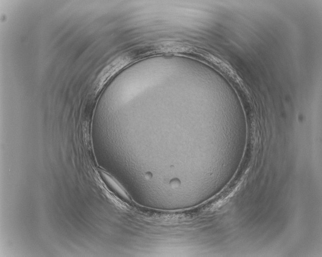 X0000058130889200510212043