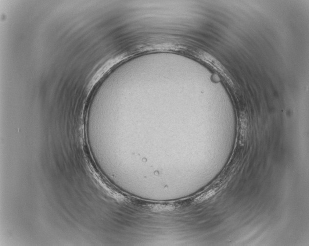 X0000058130890200510212043