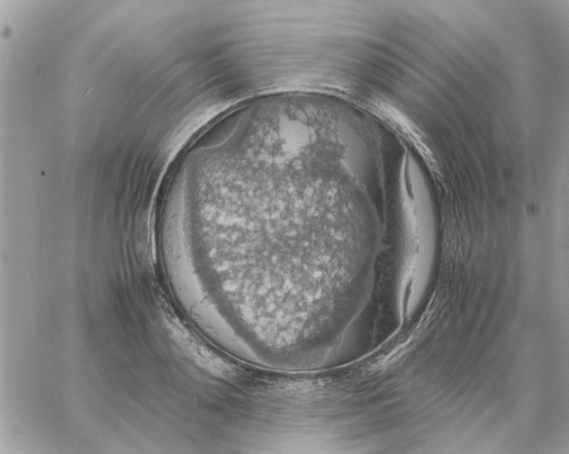 X0000058130892200510212043