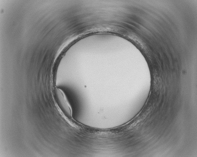 X0000058130894200510212043