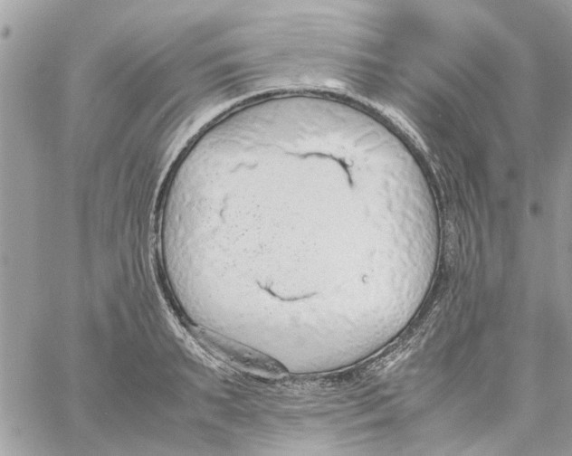 X0000058130895200510212043