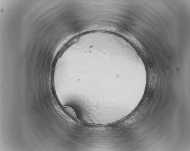 X0000058130896200510212043