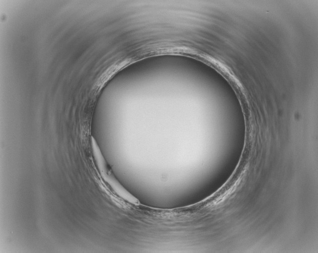 X0000058130897200510212043