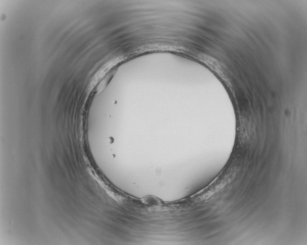 X0000058130898200510212043