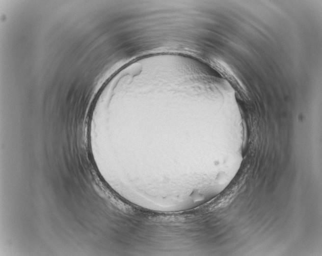 X0000058130900200510212043