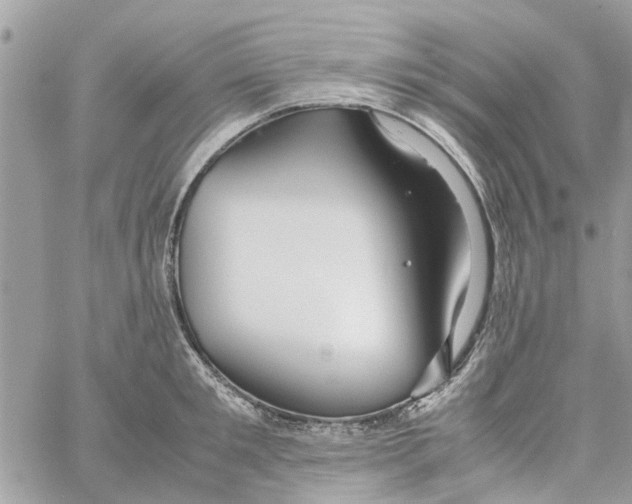 X0000058130901200510212043