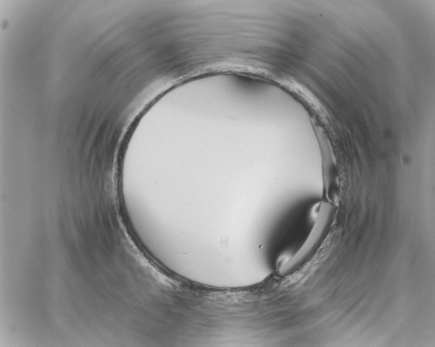 X0000058130902200510212042