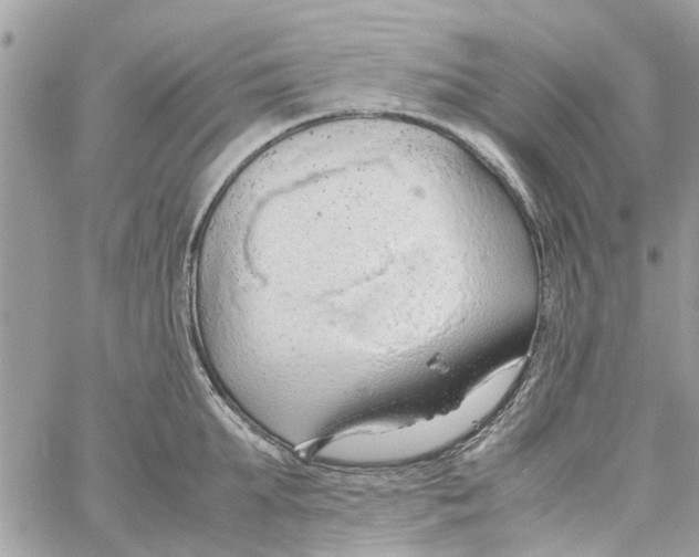 X0000058130903200510212042