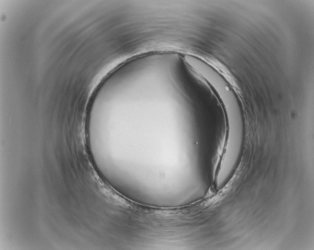 X0000058130904200510212042