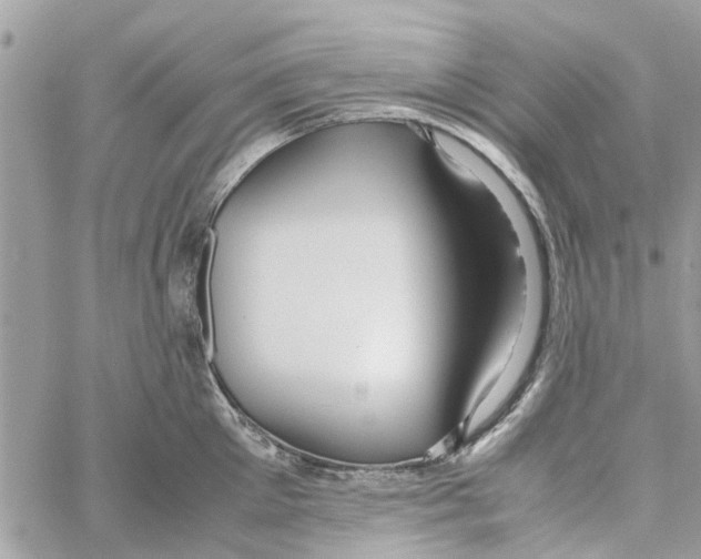 X0000058130905200510212042