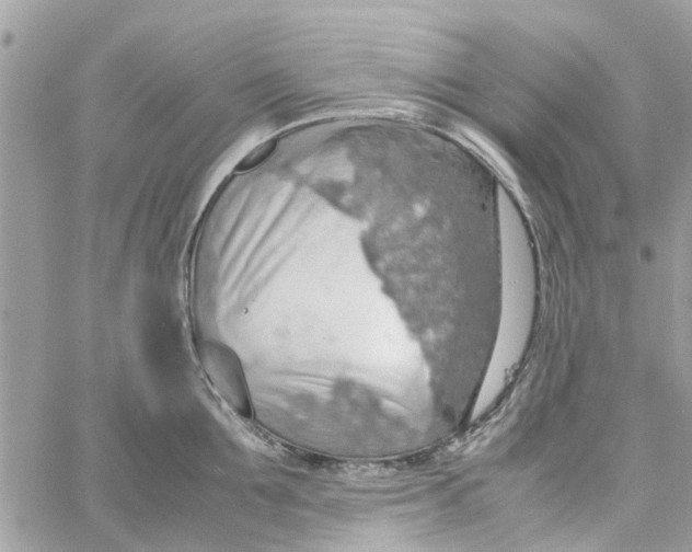 X0000058130907200510212042