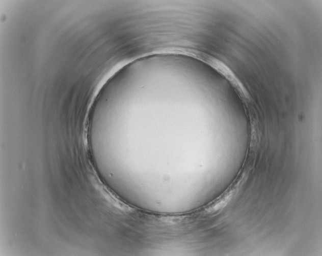 X0000058130908200510212042