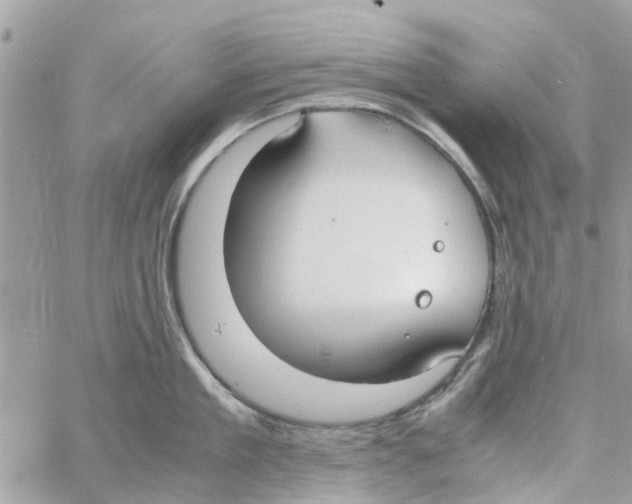 X0000058130909200510212042