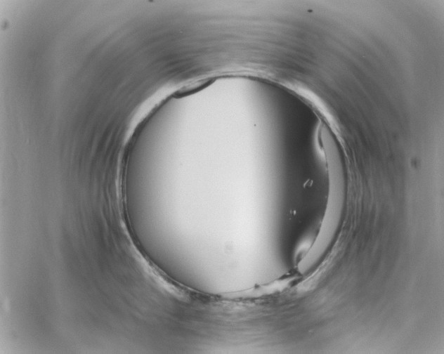 X0000058130910200510212042