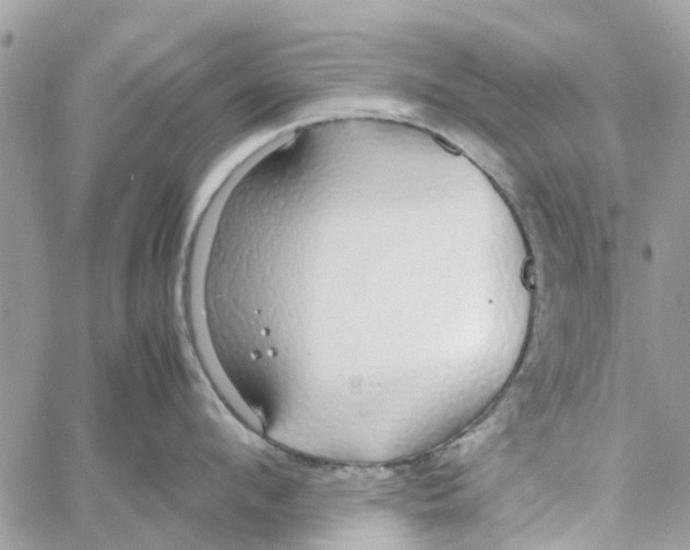 X0000058130912200510212042