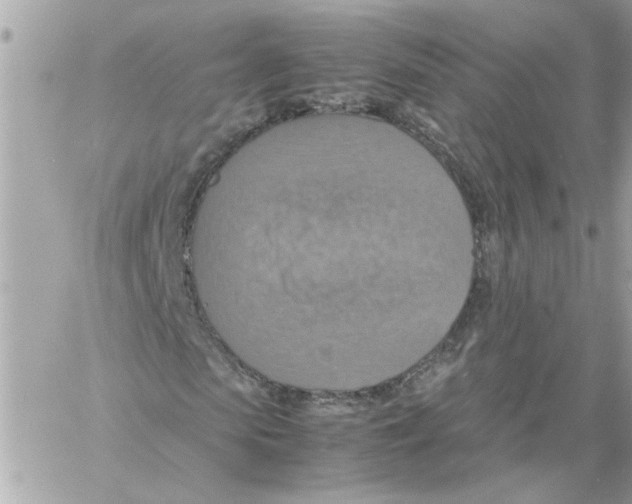 X0000058130913200510212042