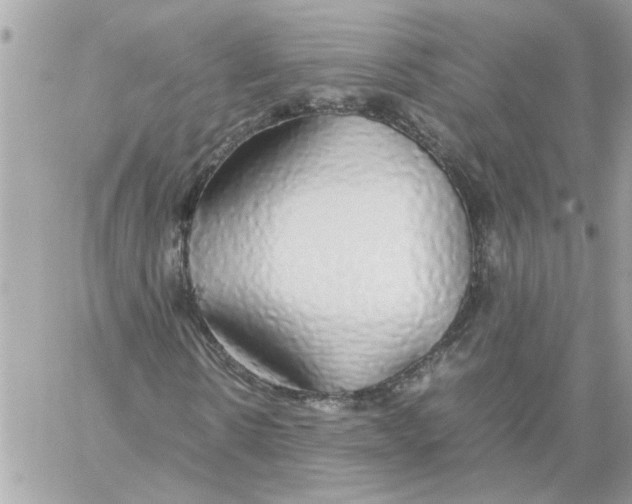 X0000058130914200510212042