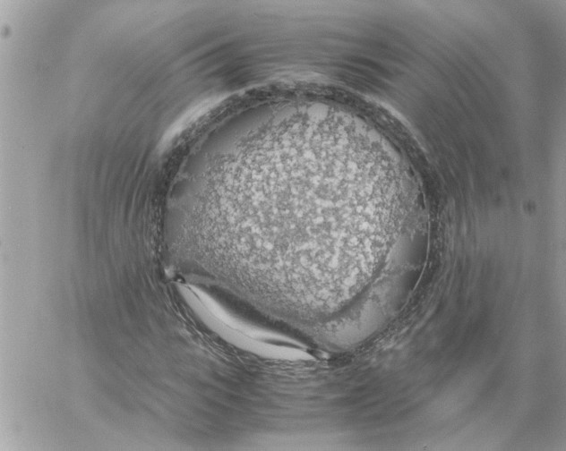 X0000058130919200510212042