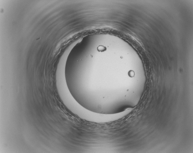 X0000058130920200510212042