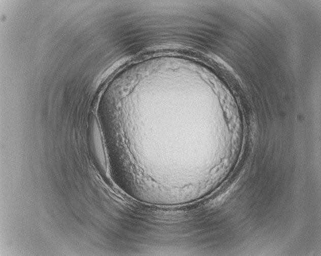 X0000058130921200510212042