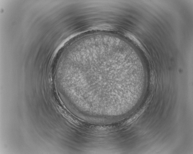 X0000058130923200510212042