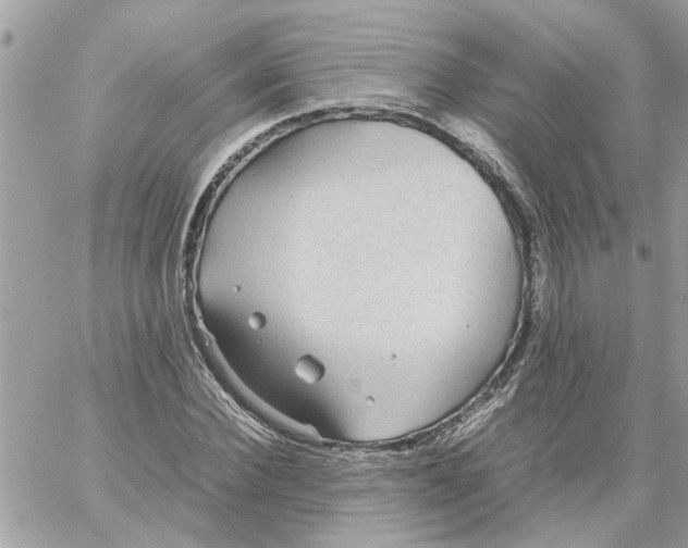 X0000058130924200510212042