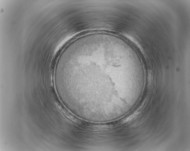 X0000058130925200510212042