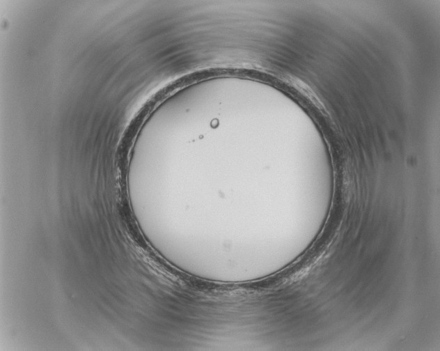 X0000058130926200510212042