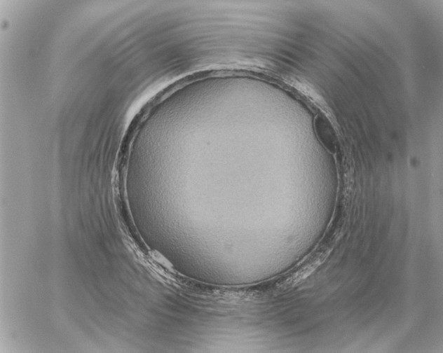 X0000058130928200510212042