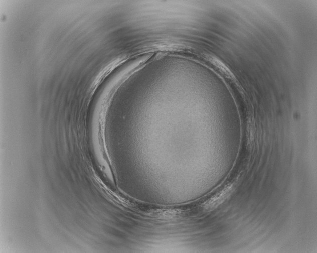 X0000058130930200510212042