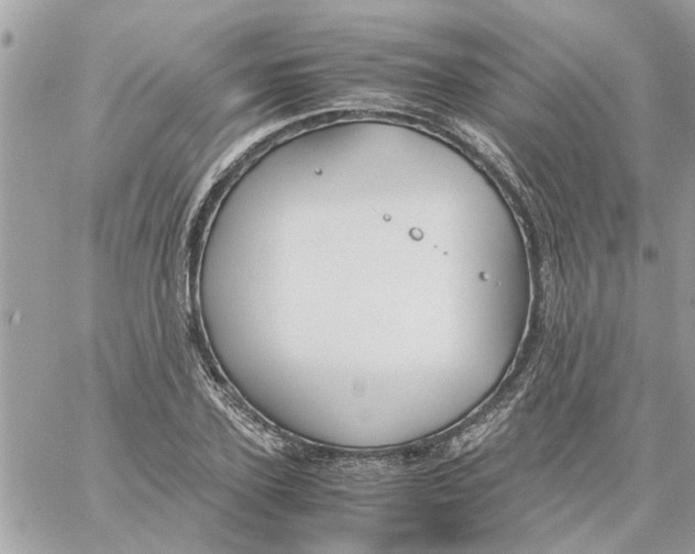 X0000058130931200510212042