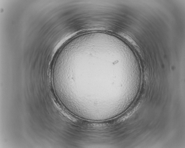 X0000058130933200510212042