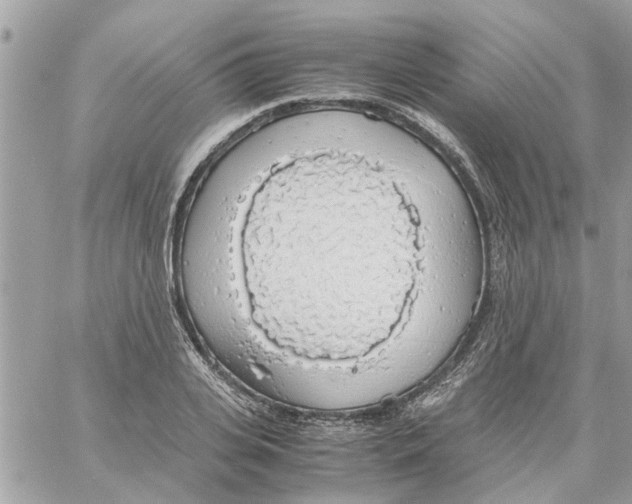 X0000058130935200510212042