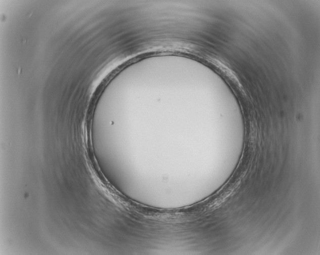 X0000058130936200510212042