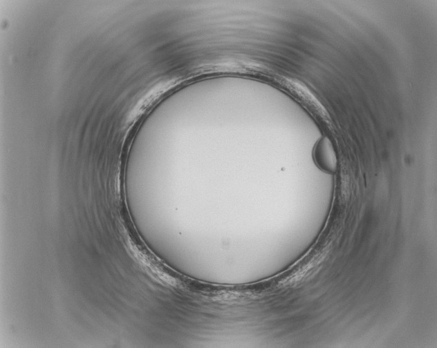 X0000058130938200510212042