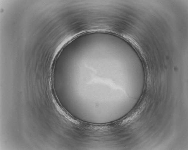 X0000058130941200510212042